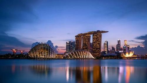 新加坡公司基本法规